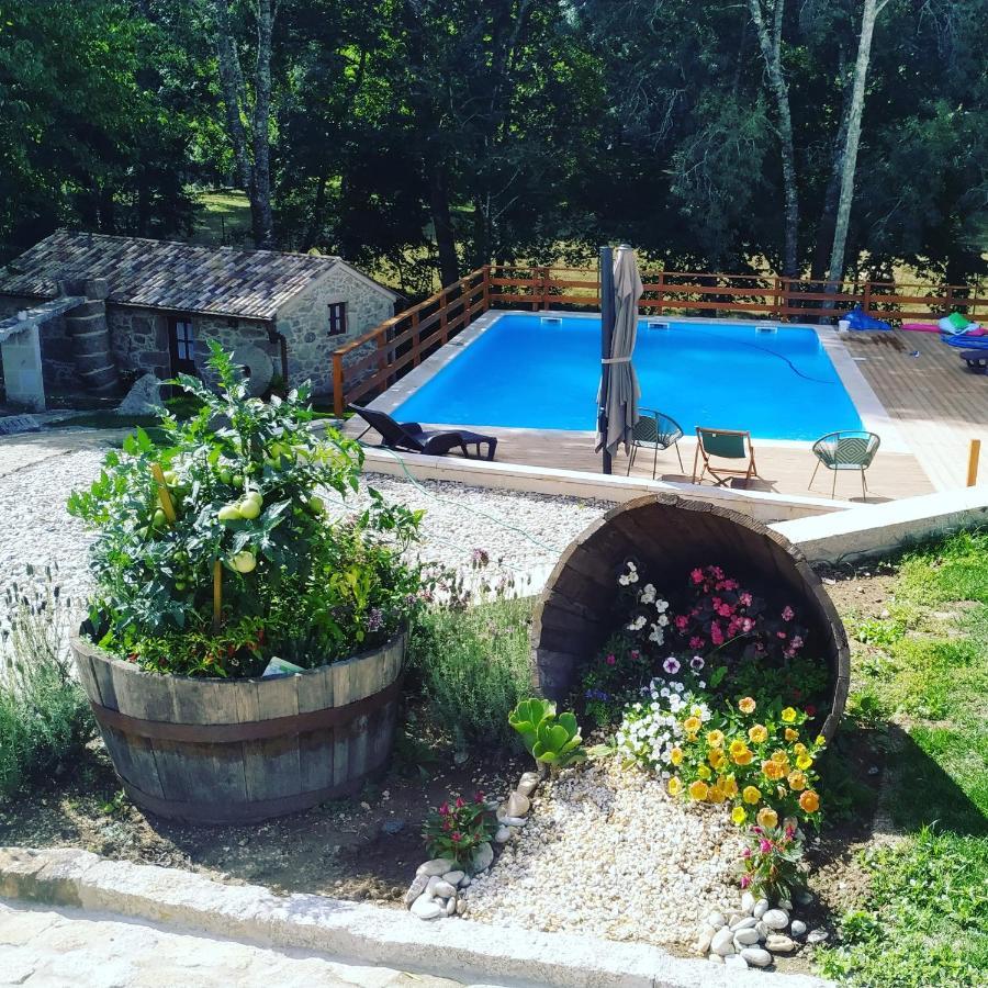 Villa Quinta Do Vale à Valenca Extérieur photo